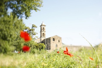 Villa for rent in CORSICA with 10 bedrooms, in 750 sqm of living area.