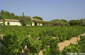 Villa de luxe à Saint Tropez, composée de 6 chambres, pour une surface habitable de  m².