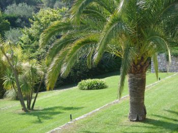 Villa for rent in Tourrettes sur Loup - St Paul de Vence with 8 bedrooms, in 300 sqm of living area.