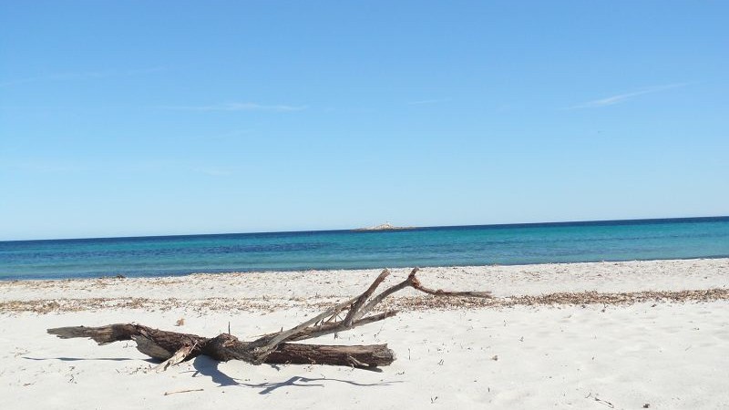 Plage de Tahiti in Saint Tropez - Visit a Beach Where You Might