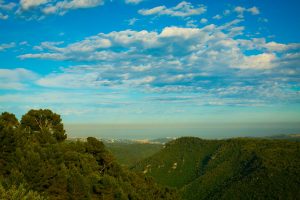 Tourrettes sur Loup