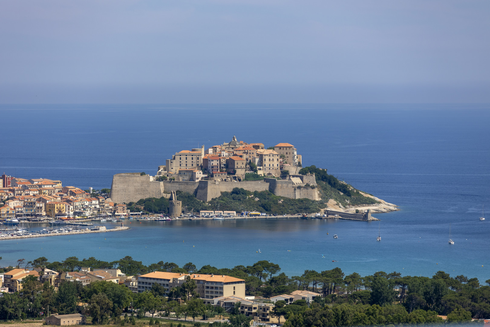 Calvi