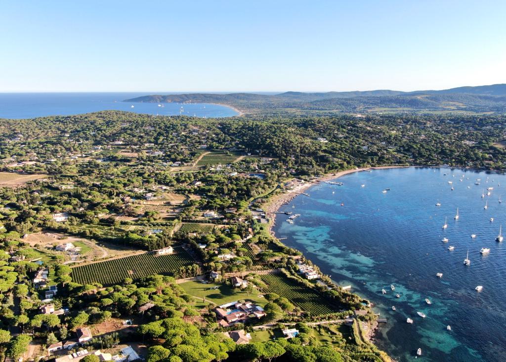 Canoubiers Saint Tropez